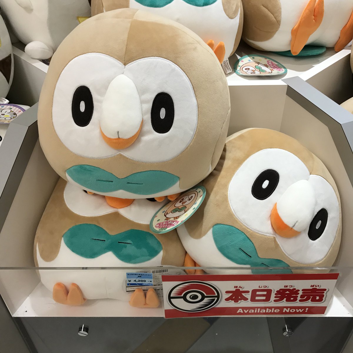 もっちりまんまるクッション モクロー ポケモンセンター限定