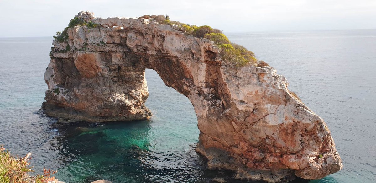 FuturtransSL's tweet photo. We show you some images of Es Pontàs and Cala #Santanyí. #Mallorca has nothing to envy to any #beach destination in the world. Do you want a dip?

Our photo-driver, Rafael Nieto, has also photographed the sculptures of the South Equilibrium Project.

Shall you come? 🧡🚍 https://t.co/mhHGXMxfEo