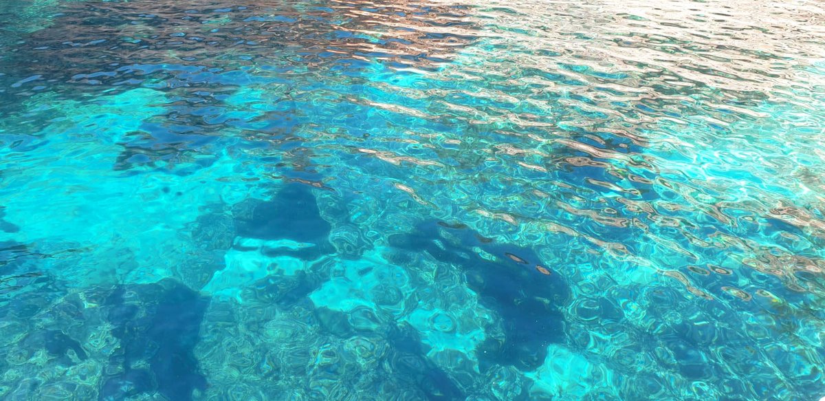 FuturtransSL's tweet photo. We show you some images of Es Pontàs and Cala #Santanyí. #Mallorca has nothing to envy to any #beach destination in the world. Do you want a dip?

Our photo-driver, Rafael Nieto, has also photographed the sculptures of the South Equilibrium Project.

Shall you come? 🧡🚍 https://t.co/mhHGXMxfEo