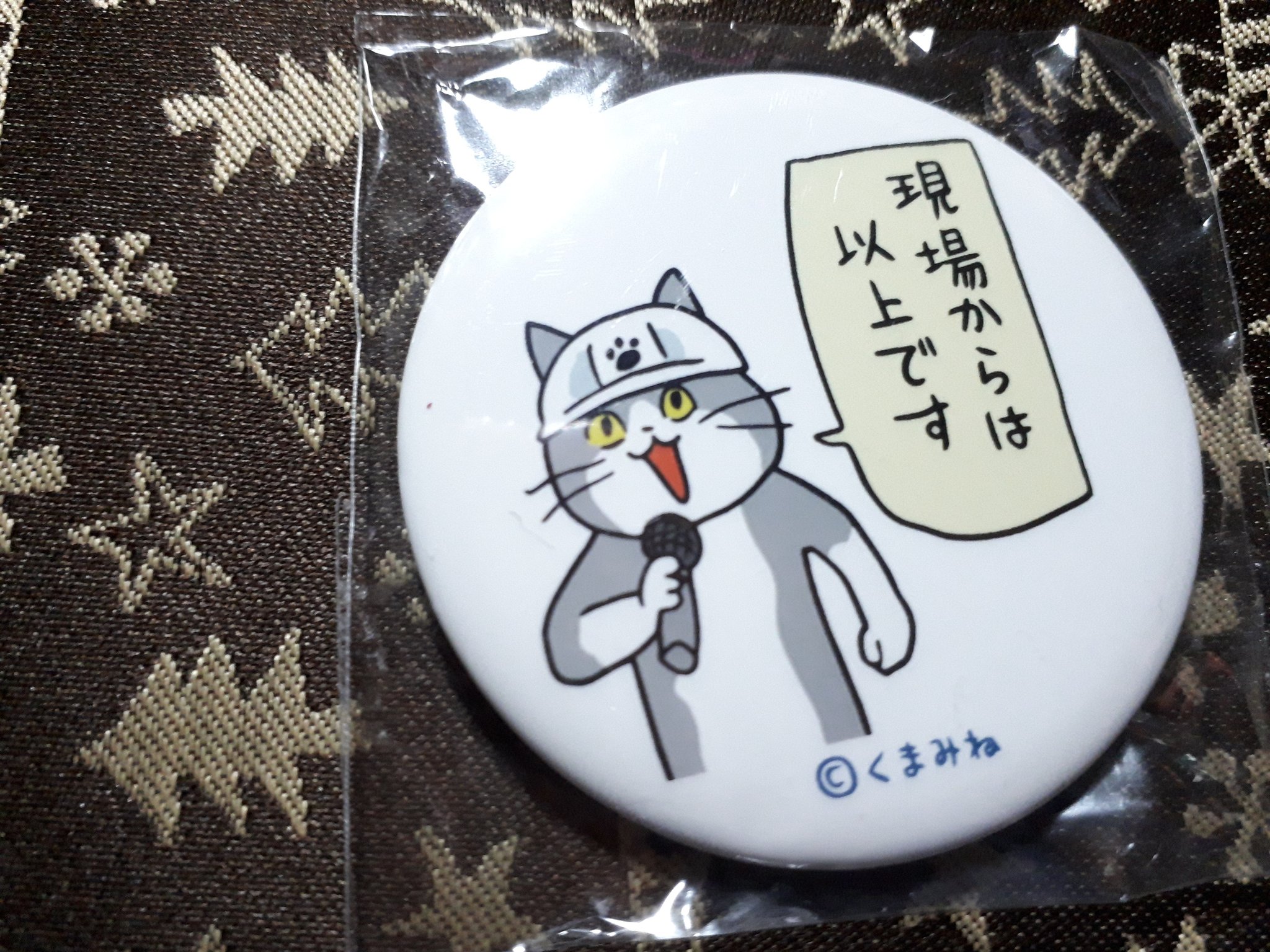 現場猫bot Tukineko623 どうして寝るのですか Twitter