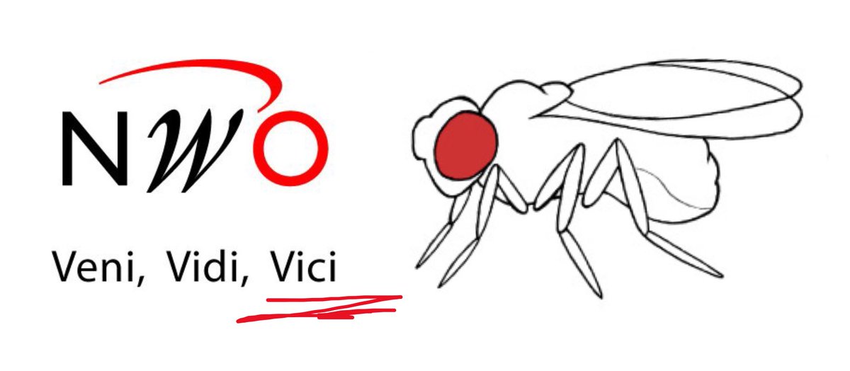 Annette Schenck tweet media