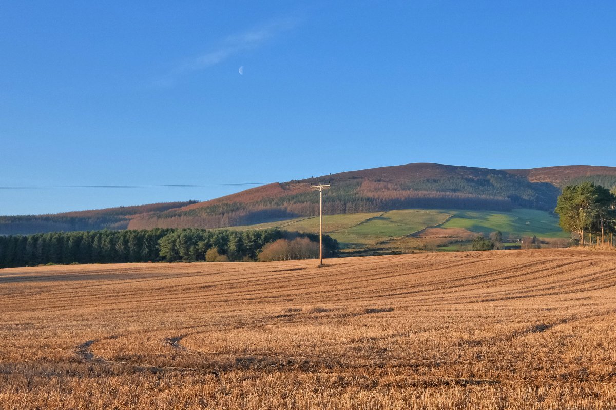 Galbraith_ABD's tweet photo. This exciting development opportunity including cottages
and outbuildings in ~0.75 of an acre in Sauchen is #UNDEROFFER 🛠🧱
A FANTASTIC RESULT AFTER ONLY 3 WEEKS.
Are you looking to sell? Call us on 01224 860710 today.
#SellWithGalbraith #GreatResults #ProactiveAgent #RuralAgent https://t.co/VPMOj5zlPr