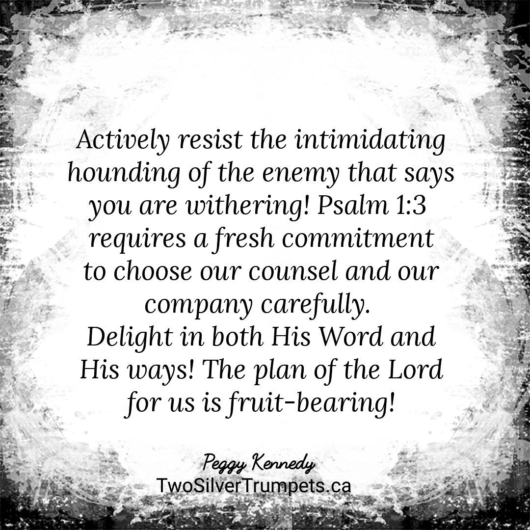 2SilverTrumpets's tweet photo. Two Silver Trumpets -"Sounding a prophetic voice to Canada and beyond..
#TwoSilverTrumpets #PeggyKennedy #faith #encourage #prophetic #pray #Christian #Bible #God #Jesus #Christ #Scripture #WordofGod #author #motivational #life #blessing #thoughts
#propheticIntercession #qotd https://t.co/C3ZpY3O9EE