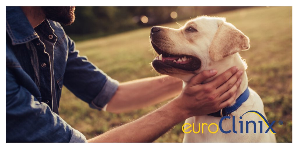 Liebe-Dein-Haustier-Tag 2020 🐶