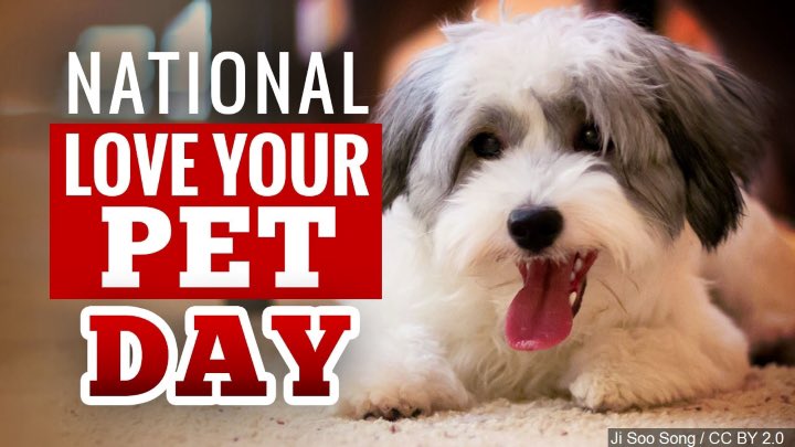 ArmyKYTN's tweet photo. Today is #NationalLoveYourPetDay It’s a day when pet owners are urged to spoil their pets and ensure they are well cared for. Some love animals they base their careers on them. #68R #ArmyTeamNashville #WhyNotYou https://t.co/nBQvx5Ex9t