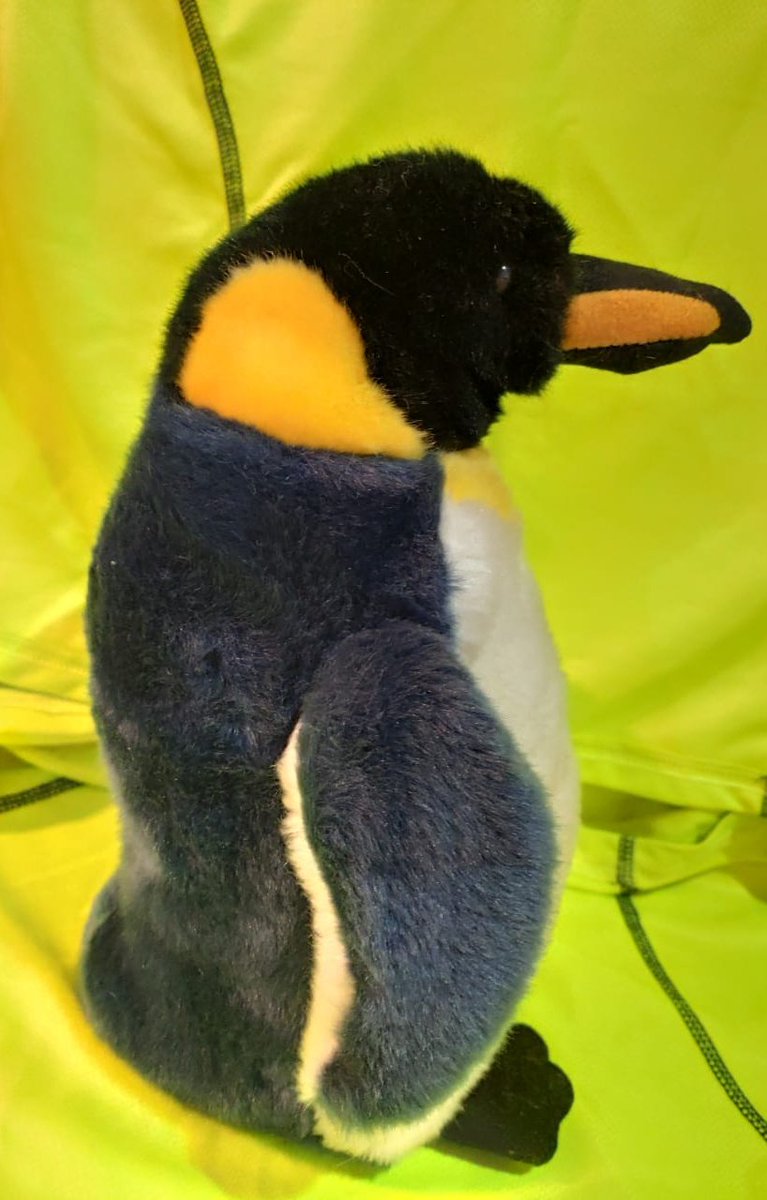 Ju_Samka's tweet photo. Nuestro pingüino azul con amarillo🤩. Es tan realista que sentirás que tienes un pingüino real en casa. Es único y súper suavecito. Encuéntralo hoy en nuestra subasta de #ComadresTech #CompadresTech :)

Te esperamos a la 18:00 en el LINK COWORK.

Gracias @tebot por la donación 🥳 https://t.co/CiFbUfhGnw