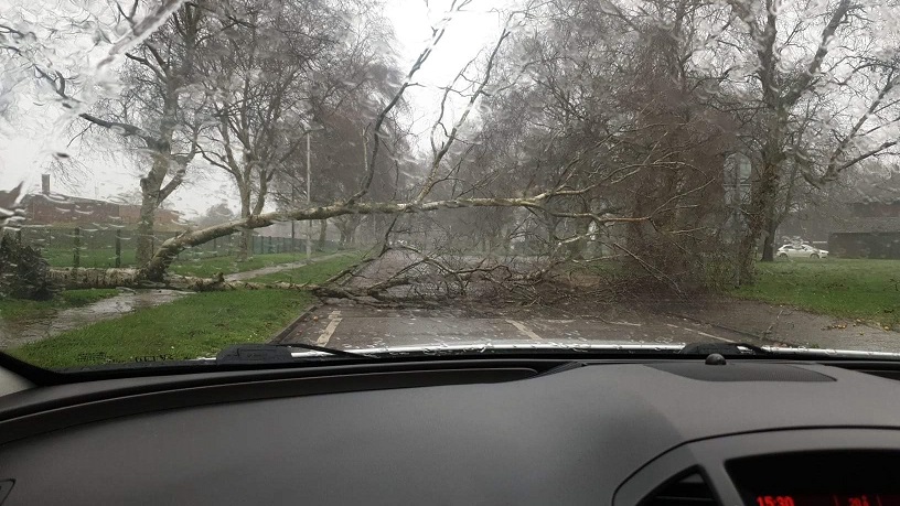 AmeyLtd's tweet photo. Amey’s Defence teams at Robertson Barracks in Norfolk, sprang to the rescue when a tree fell during Storm Ciara, blocking the entrance to the Barracks. #StormCiara @TivoliGroupLtd https://t.co/Jp51KBwopK
