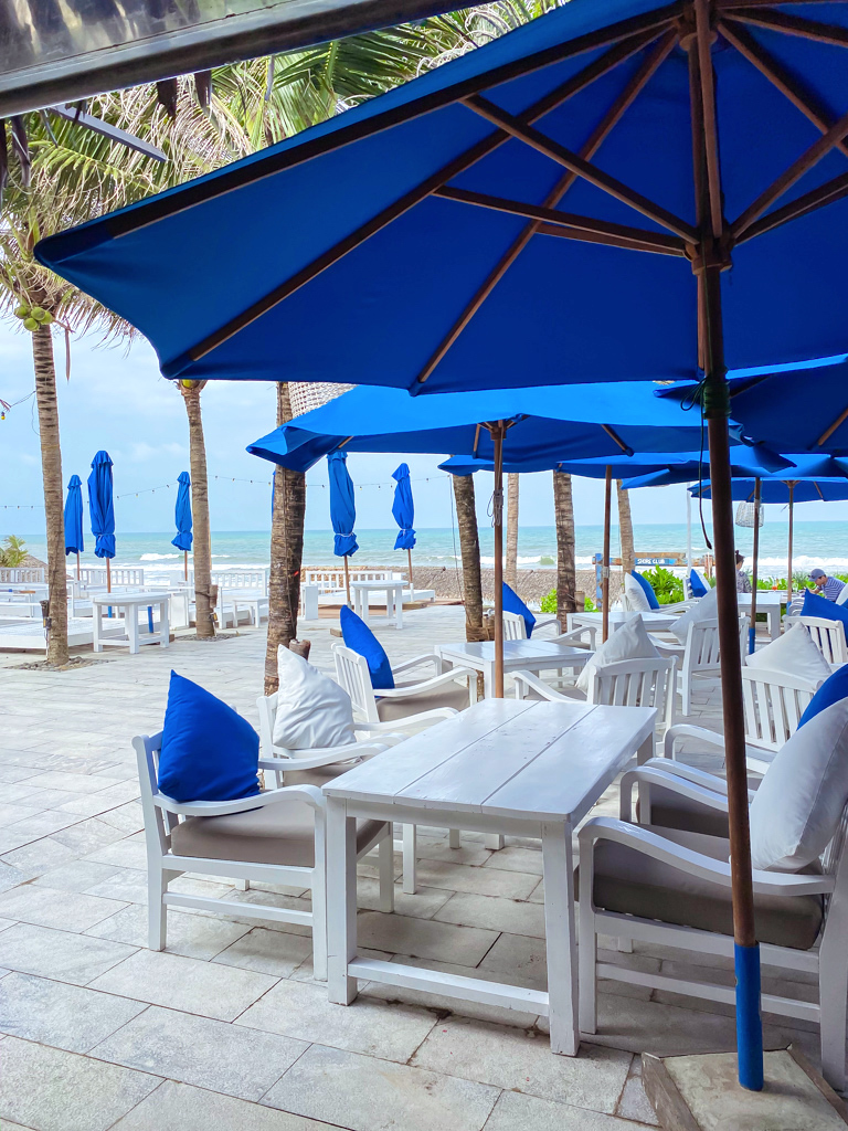 いかぽんず Ponzthe3rd Twitter