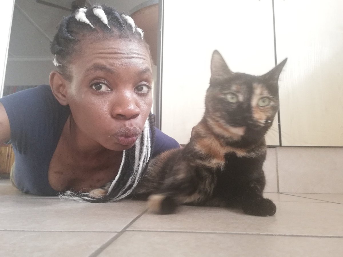 Namupolo1's tweet photo. Dismissive avoidants are a lot like cats, you can't overwhelm or make them the center of your attention, just let them know you are always there, in the background, with an occasional pet.
I am a lot like this cat. #pyschology #attachmentstyle #dismissiveavoidant https://t.co/1V4BLmRRss