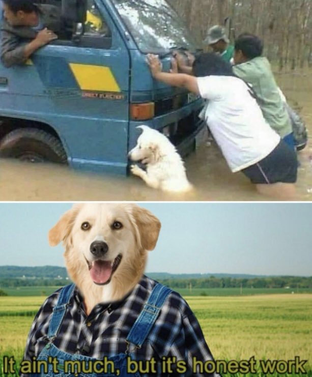 RespectfulMemes tweet picture