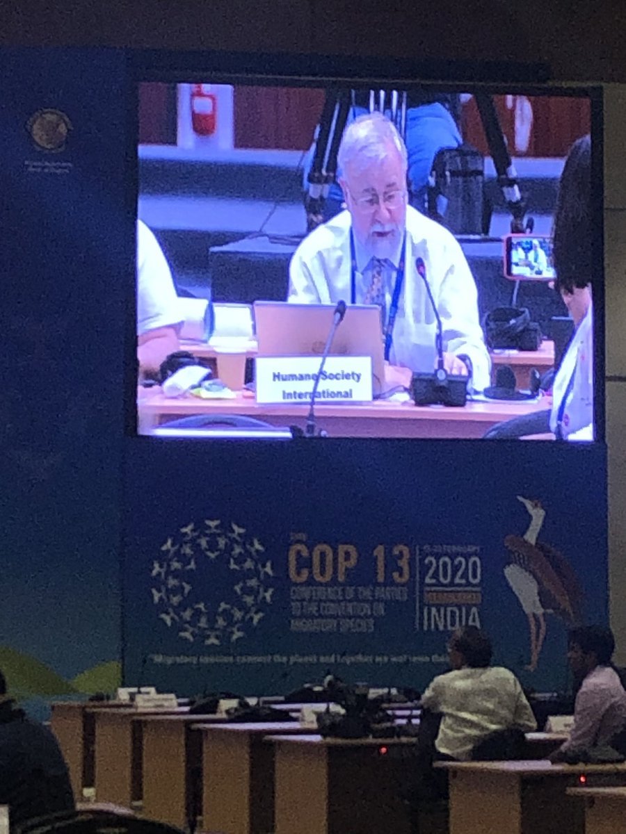 OceanCare's tweet photo. Whale expert Mark Simmonds presents the plan for intensified action to prevent the #harbourporpoise in the #BalticSea become extinct. #RangeStates so far did not succeed and the species would meet criteria for AppendixI listing #CMSCOP13India @BonnConvention @whalesorg @HSIGlobal https://t.co/6QIuRjXmkR