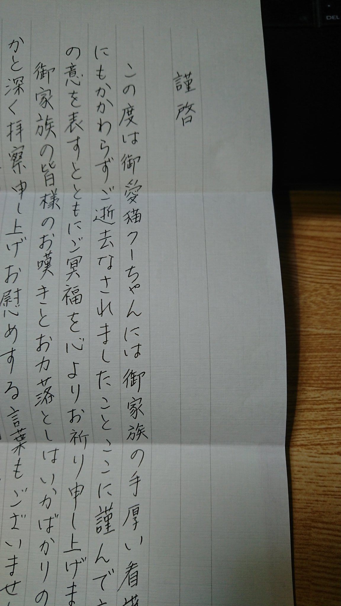 Twitter 上的 富士男子 0545 我が家の愛猫 くーがお世話になった 富士動物医療センター 虹の橋を渡った事と治療のお礼を伝えに行ったら お悔やみの手紙を頂きました 本当に動物好きな先生とスタッフさんに感謝しかないです そして 有り難うございました で