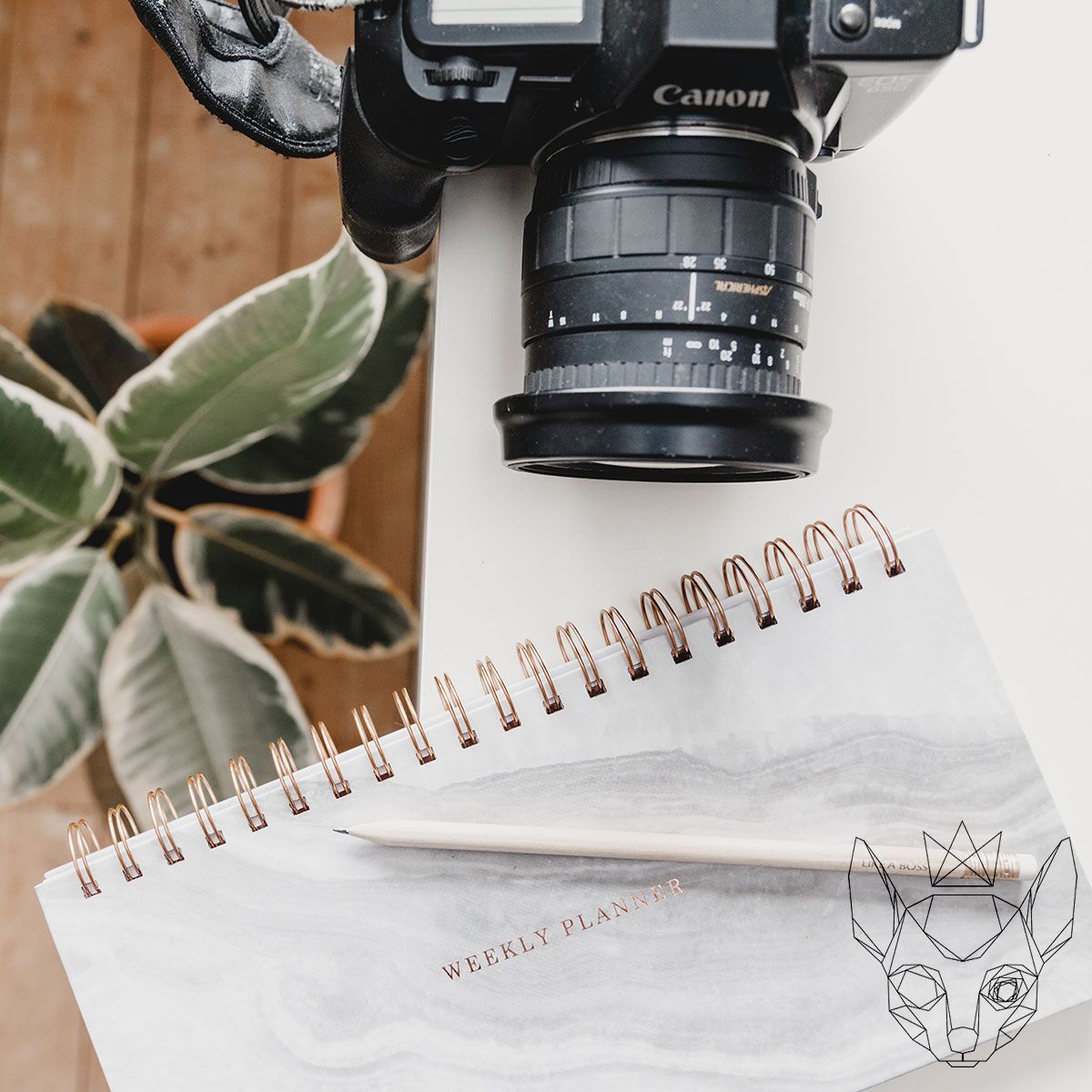 RexUniversal_'s tweet photo. Planning your content in advance is the best way to make sure you are putting out the best content for your business!
#marketingagency #entrepreneur #contentcreation #branding #businessconsultancy #businessmanagement #marketingstrategy  #consultancyservices #marketingplan https://t.co/LokwGAN34A