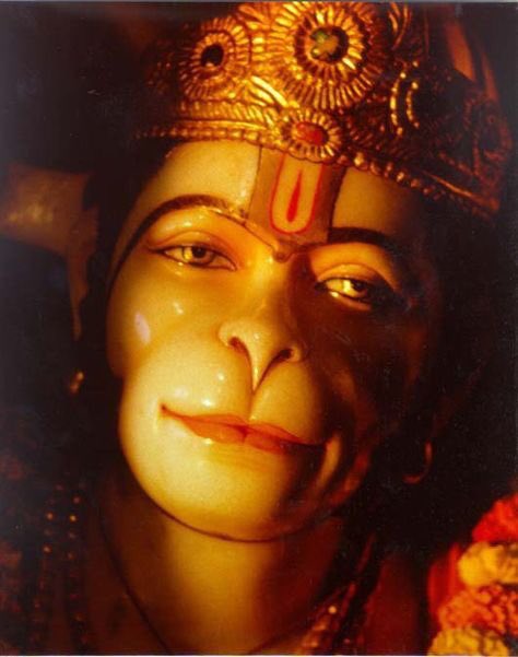 9. Hanuman : An Ansh of Lord Shiva helped Shri Rama. 10. Brishabh: Brishabh form of the lord is called Dhrama or rightness.11. Yatinath Yatinath a form of the God Shiva represents a peaceful form of him to his devotees.12. Krishna Darshan: Lord Shiva, in this form had