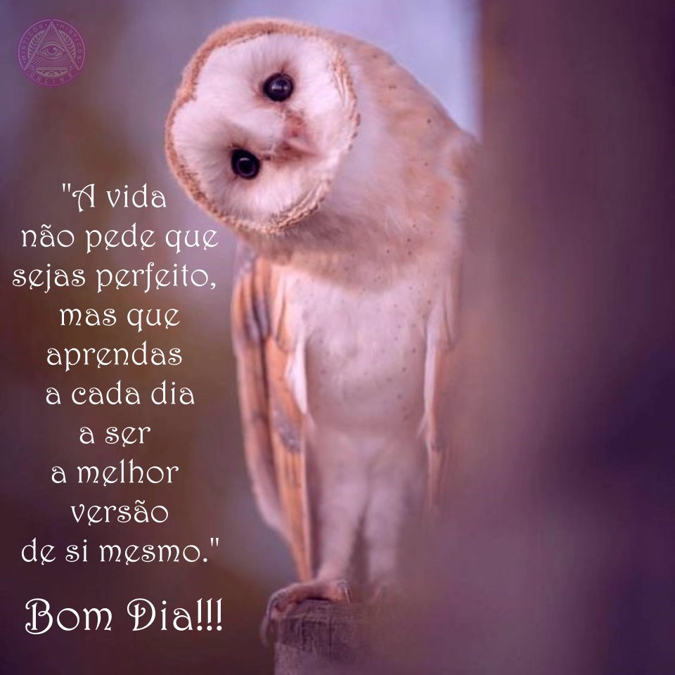 Misticos Online on X: Bom Dia!!! Ótima sexta!!! #misticosonline #misticos  #tarot #tarotonline #bomdia #pazeluz  / X