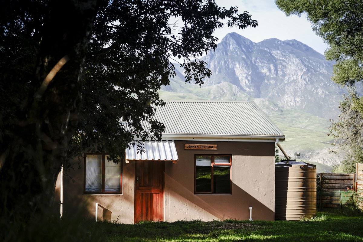 Find an escape with us and stay in one of our cottages hidden in indigenous forest.🌱☀️  #outdoors #sunshine #comestaywithus #accommodation #guesthouse #nature #forest # mountain #cyclist #mtblifestyle #adventure #mtbenduro #mtbiking #biking