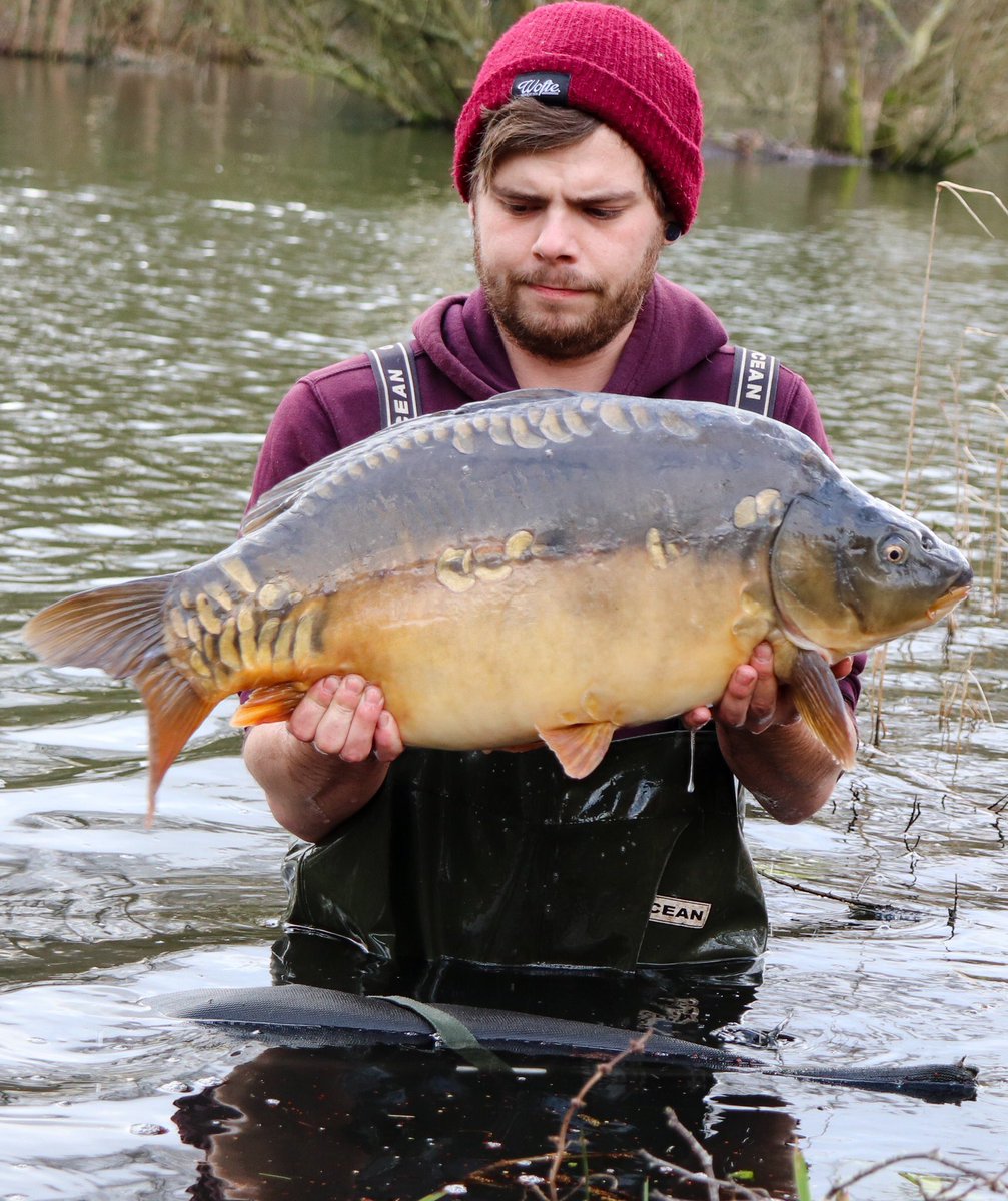 karpermundo's tweet photo. Just one of the new fish at the lakes, 6 in total with a possible 6 more next yr... thanks Darrel you pose well.... https://t.co/7DbmEibvxI