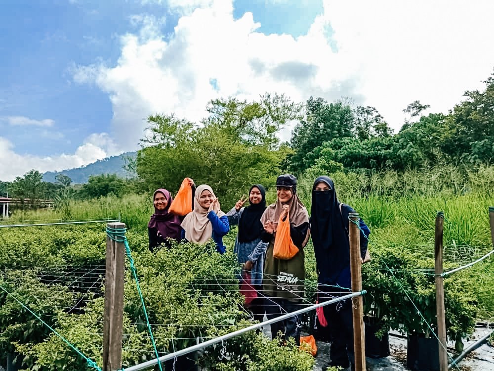 pepiasampang's tweet photo. "Terharu &amp; bangga!" - 2 perkataan yang kami ungkapkan bila melihat kesungguhan alumni PMGS20 untuk jayakan Plan of Action mereka. Semoga jiwa-jiwa ini terus teguh dalam mendidik diri menjadi Generasi Penerus Harapan Ummah. 

Mission accomplished! 💪🏻

#PEPIAS
#GPHU
#PMGS2020 https://t.co/ghFcQrI17f