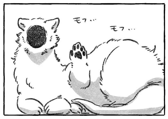 貂 