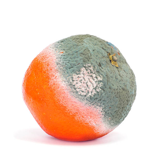 INGdigno1999's tweet photo. Si la gente no se imagina lo lucrativo que puede llegar a ser el blanqueo de capitales que miren a @ING_es. Su lema podría ser: "Dinerito lavadito calentito". ¡LA NARANJA ESTÁ PODRIDA!
https://t.co/FXqTj2n9nk
#INGexternaliza #SinvergüencING #Servinformchapuzasinparangón https://t.co/XBy5JIctky