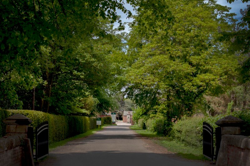 A shout out to our friends within the National Forest. 

The National Forest is a regeneration project, aiming to get to 9million trees across 200 square miles of mixed habitat forest. 

nationalforest.org/about/what-is-…