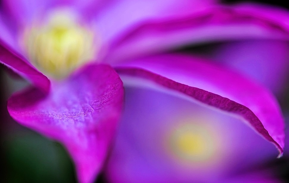 addyiceangel's tweet image. .     Good Night Twitterfolk
✨🦋🌸💤😴💤🌸🦋✨