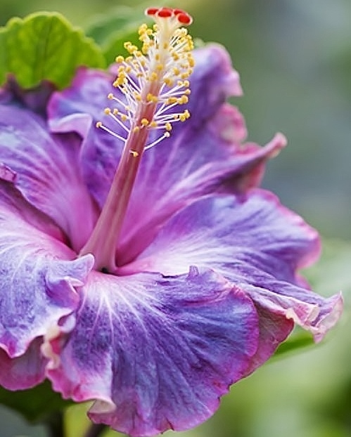 addyiceangel's tweet image. .     Good Night Twitterfolk
✨🦋🌸💤😴💤🌸🦋✨