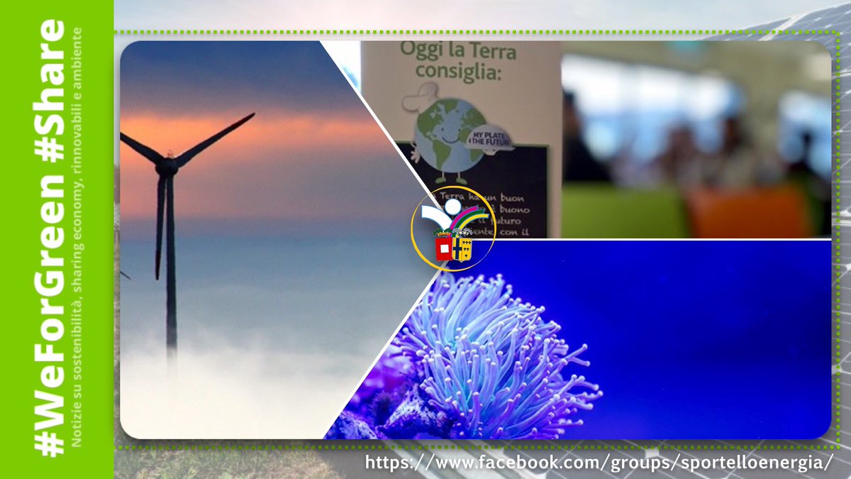 servizioenergia's tweet photo. Notizie su #sostenibilità e #rinnovabili da #WeForGreen nella newsletter di giovedì 20 Febbraio 2020:
▶️ Cerotti “smart” per curare i coralli.
▶️ Elettrificazione dei consumi, l’Europa può dimezzare la CO2.
▶️ Su-Eatable Life e le diete sostenibili.
→ https://t.co/Pc48Mjg2x9 https://t.co/Qd8sIIZff3