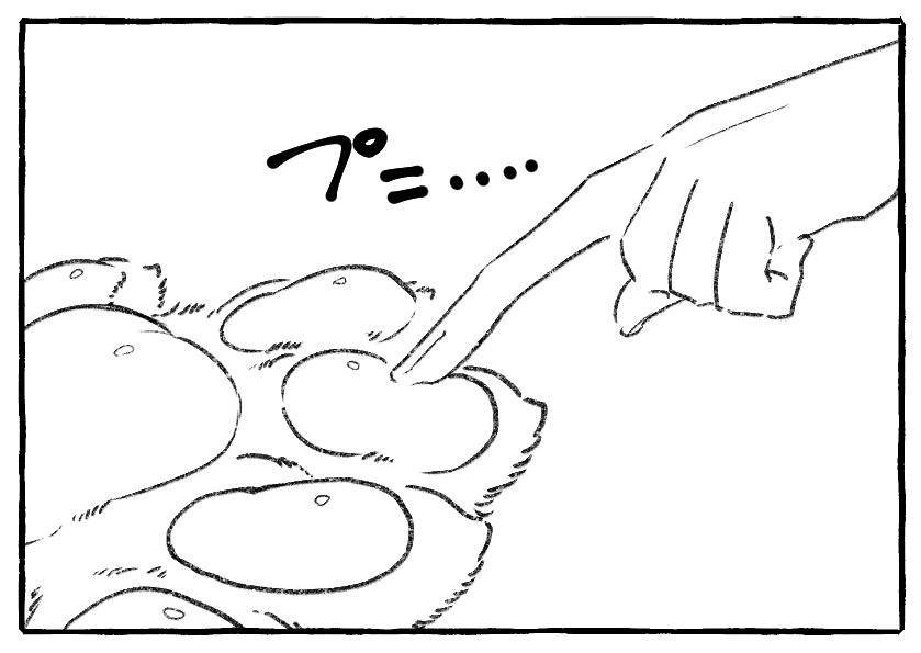貂の肉球 