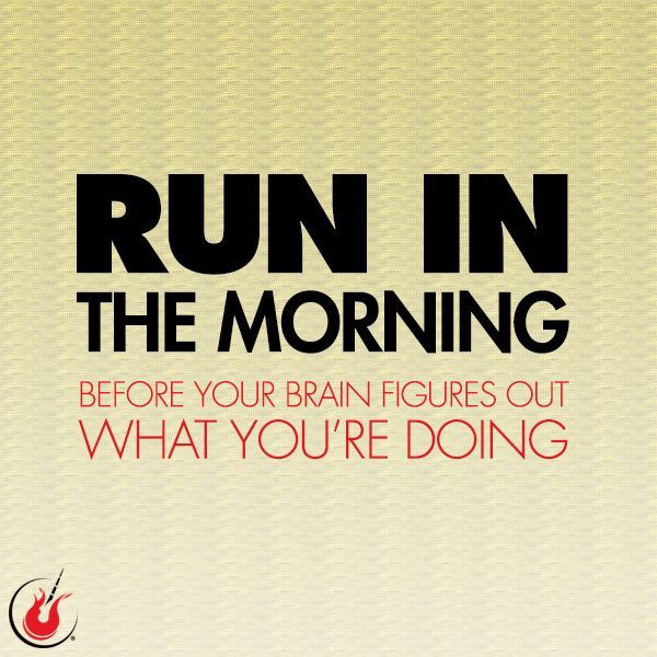 Wildrunsa's tweet photo. Sound advice! Great way to start the day! #Wildrun #UltraMarathon #LoveToRun #GoRun #MotivationalMonday #MotivateMe https://t.co/yTfVWaInRF https://t.co/oXR1T7an9m