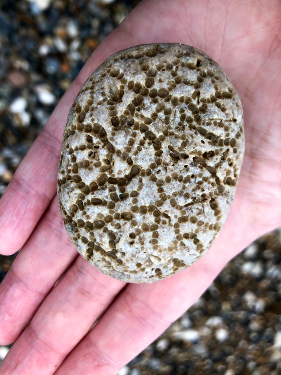gojauntly's tweet photo. We found good things and bad things wandering around Lulworth Cove in #Dorset. Can you guess what our favourite find is? 😀 #5minutebeachcleanup #noticenature https://t.co/IQFTiYtB8A