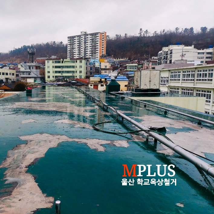 MPLUS_CEO's tweet photo. #옥상철거 #시트우레탄 #콜타르제거 
#마루철거 #디럭스타일철거 #데코타일철거
✔전문인력으로 철거 깔끔하게!
✔현장 견적으로, 합리적인 금액!!
✔자제 개발한 "바닥철거장비" 10대보유
국내 단독 판매&amp;임대&amp;유지보수
✔직원으로만 5팀운영+@@
✔사업자등록으로 신뢰를 드립니.
☎️010-9532-9070 https://t.co/afiYAEIFI5