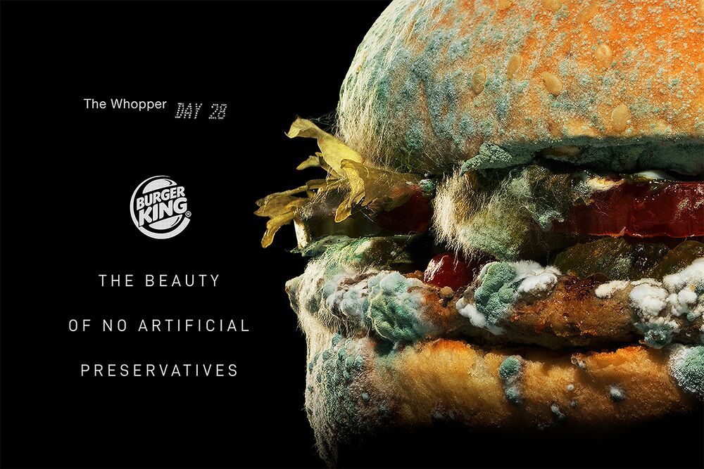 FoodGeekandLove's tweet photo. Burger King : un Whopper moisi pour promouvoir l’arrêt des conservateurs https://t.co/fxp3Qr7kLi #Pub https://t.co/65h5YViLA8