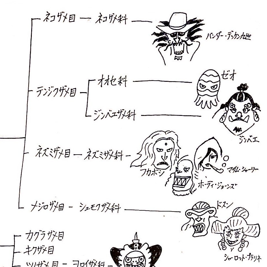 さかな芸人ハットリ One Piece に出てくるサメタイプ魚人の分類図 T Co M2linnkfvp Twitter