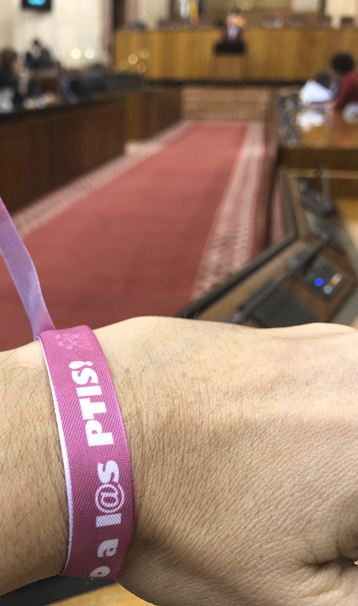 ismaelsc_'s tweet photo. La lucha de l@s PTIS presente en el Parlamento de Andalucía. Hoy l@s diputad@s de @AdelanteAND llevamos pulseras para visualizar el conflicto de este colectivo. #SubrogaciónYa para ILSE y PTIS https://t.co/l3rpBQdFHT