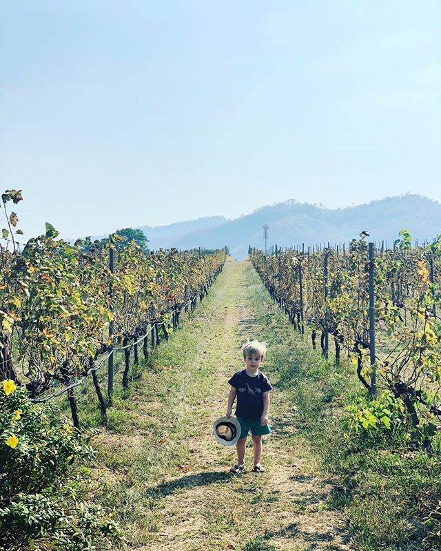 jpcwakeford's tweet photo. @helenkwakeford @pbvalleykhaoyai https://t.co/NOfB9Vb1Yq https://t.co/19QjUN8uTl