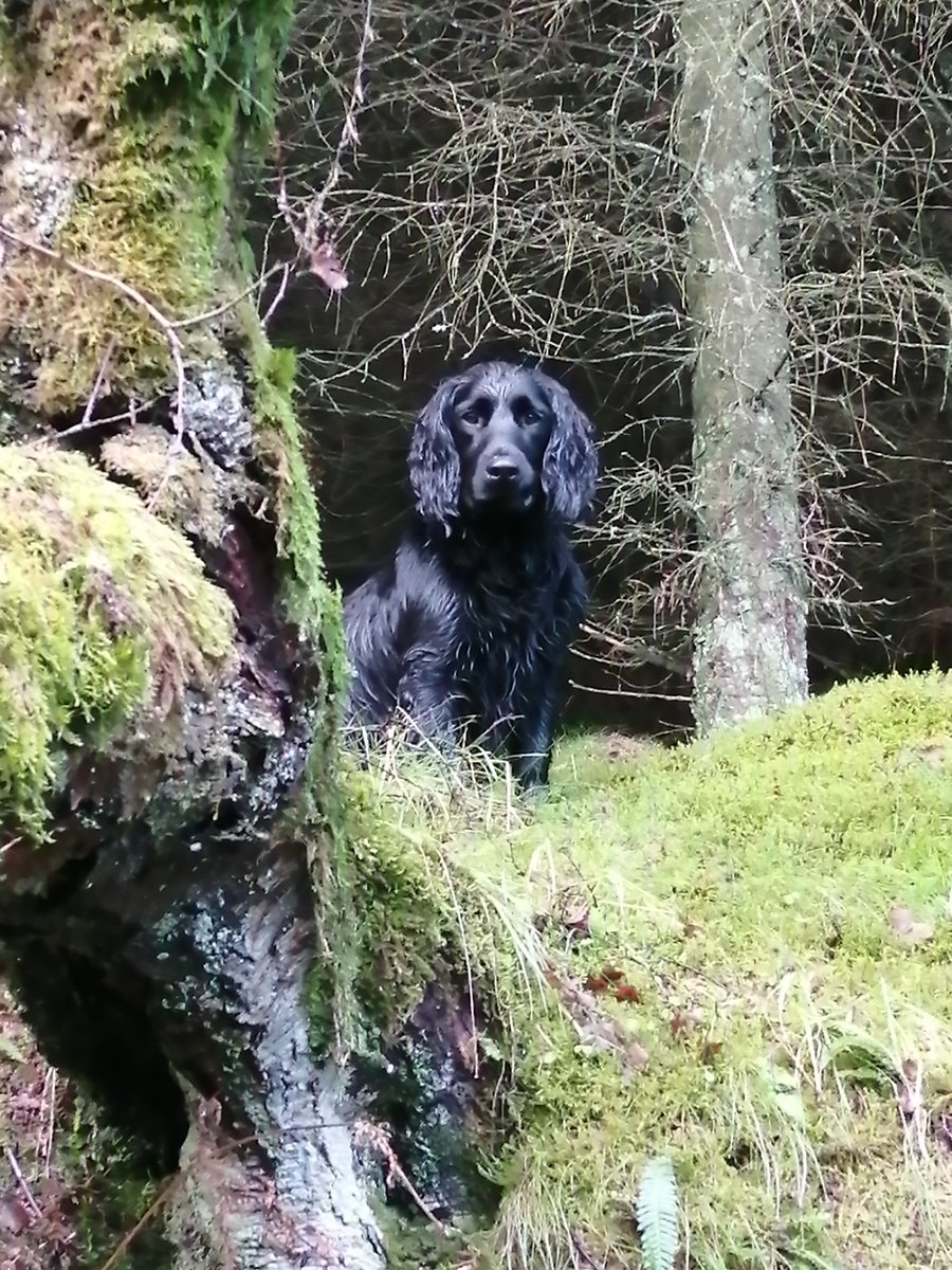 TheWhitlees1's tweet photo. #LoveYourPetDay https://t.co/NjxerTGeZm