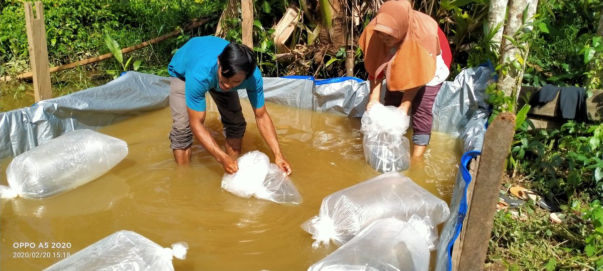 Ismail ogie tweet media