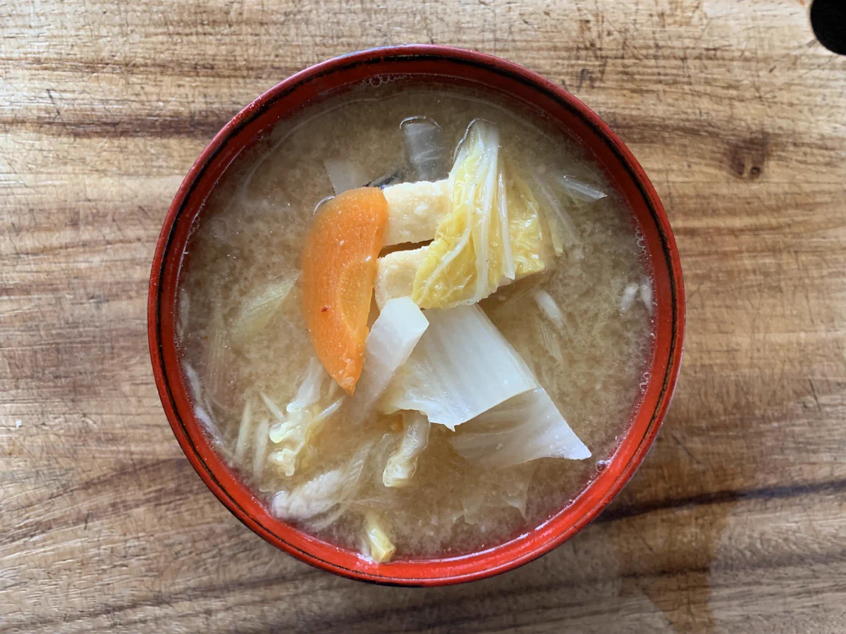 抗生物質を飲むと？良くも悪くも腸内細菌が死滅して腸内環境がリセットされます。