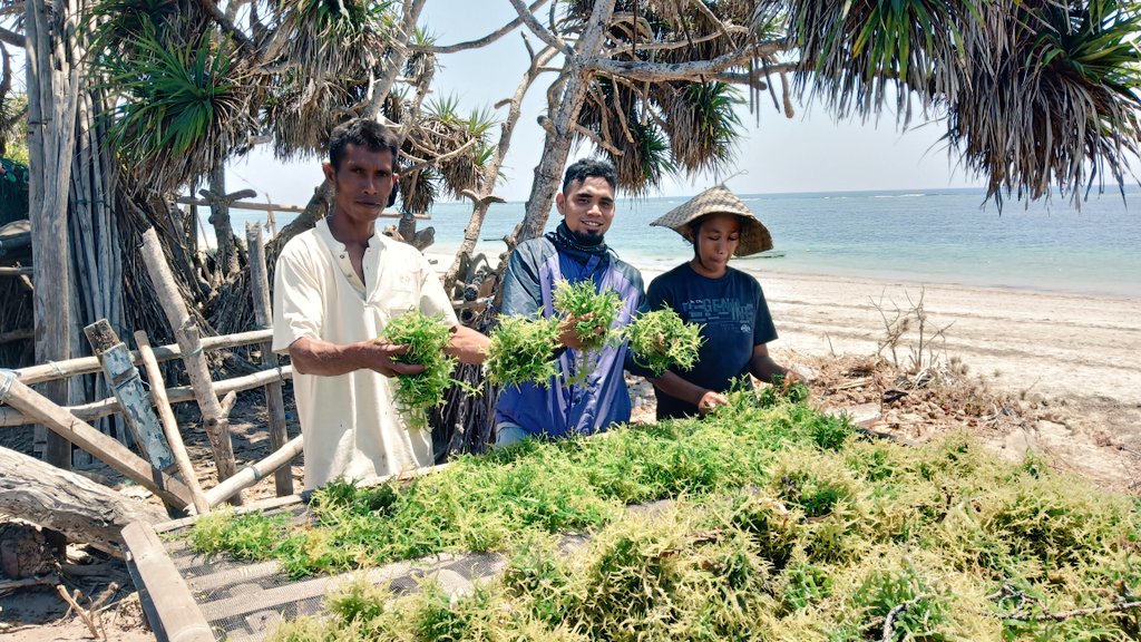 Daniel NJ tweet media