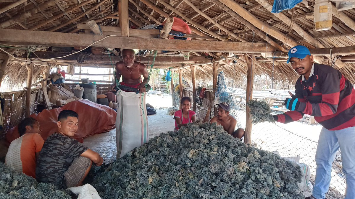 Daniel NJ tweet media