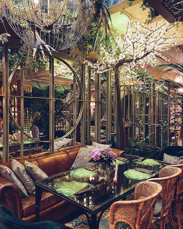 El #InvernaderoSB es así de tropical 24/7! 🙋‍Que levante la mano quien viene a visitarnos hoy y si te pilla lejos dinos en qué ciudad vives ¡te esperamos! 👉📍GRAN VÍA, 65 😊🌿📸@danielamansilhasantos #Salvadorbachiller #GastrobaresSB