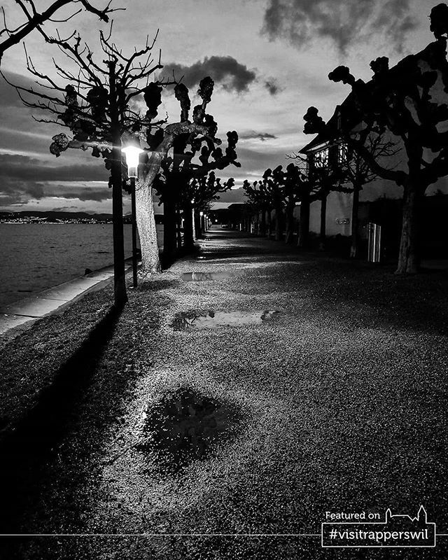 Moody stroll around Rapperswil
.
Congrats!
.
★ Visit Rapperswil Feature ★
Picture by - <a href="/__ma/">Má 🌚</a>.he__
Selected by - <a href="/sergioshootz/">Sergio Navarro</a>
.
Show ❤👏 to the original post as well, thanks!
.
For a chance to get featured follow <a href="/visitrapperswil/">Visit Rapperswil</a> and tag #rapperswil o… ift.tt/37JjShM