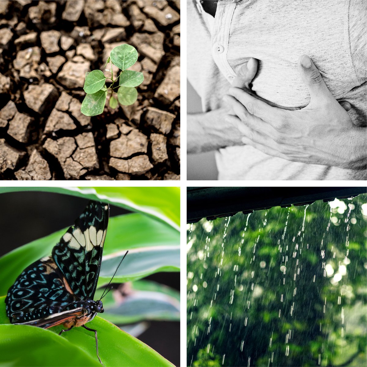cocarb_ac's tweet photo. There are four impacts of Air Pollution:

Global Warming: Air pollution has an impact on global warming because rising temperatures around the world of vehicles and factory activities, rising sea levels and causing melting in colder regions and icebergs. https://t.co/JUnLTRBqJj