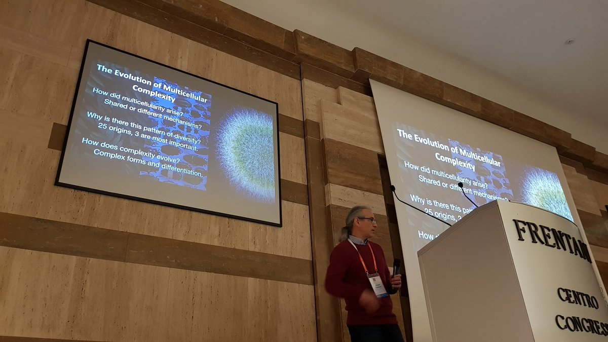 mrillig's tweet photo. Super interesting talk by Michael Travisano on pathways to multicellularity in yeasts #ECFG15 https://t.co/16lYRIjQy6