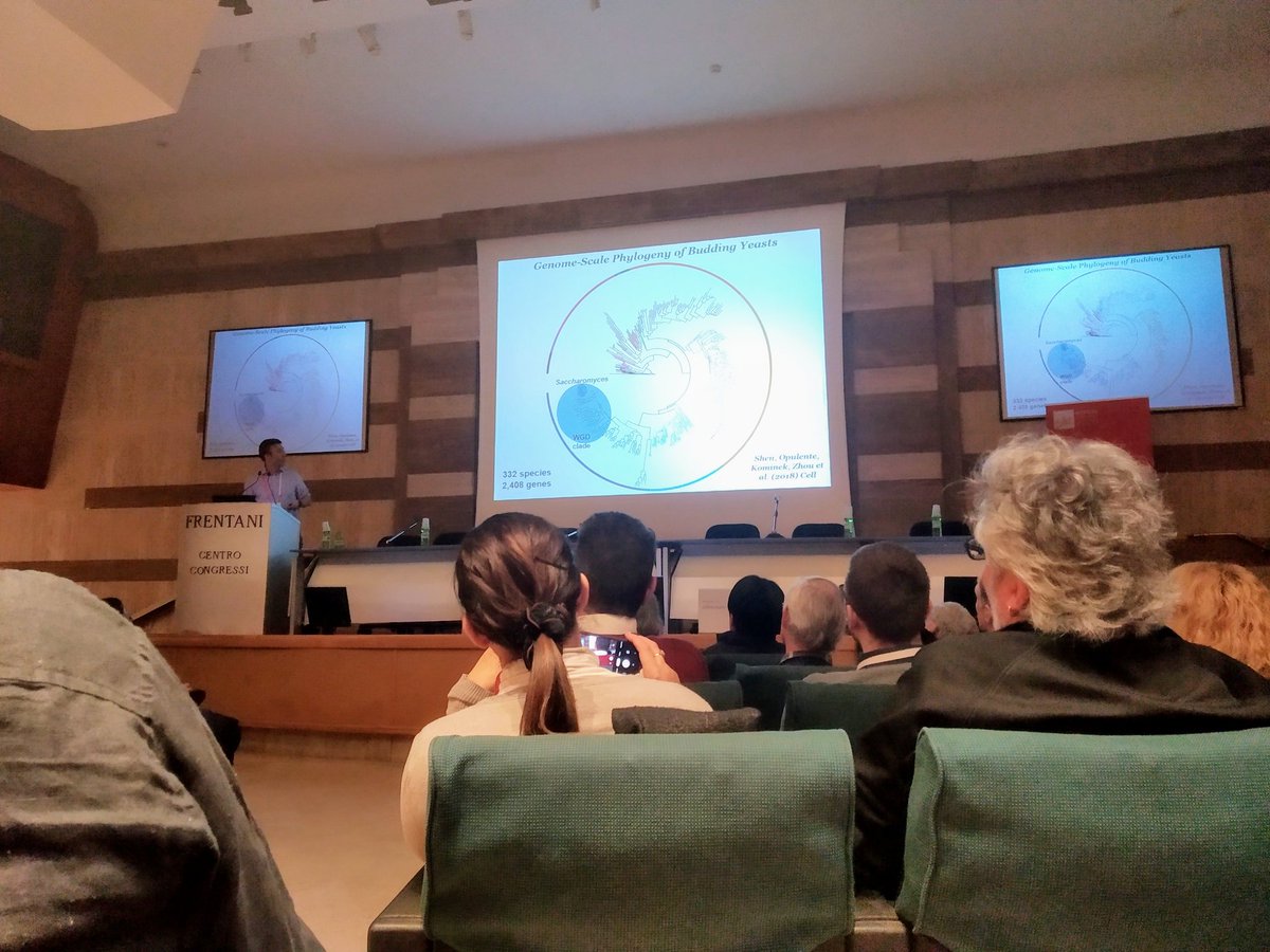 ciggoncalves's tweet photo. A fantastic 30minute trip through genome evolution in yeasts by @RokasLab #gene losses #HGT and much more #ECFG15 https://t.co/BtwEP7DRN1
