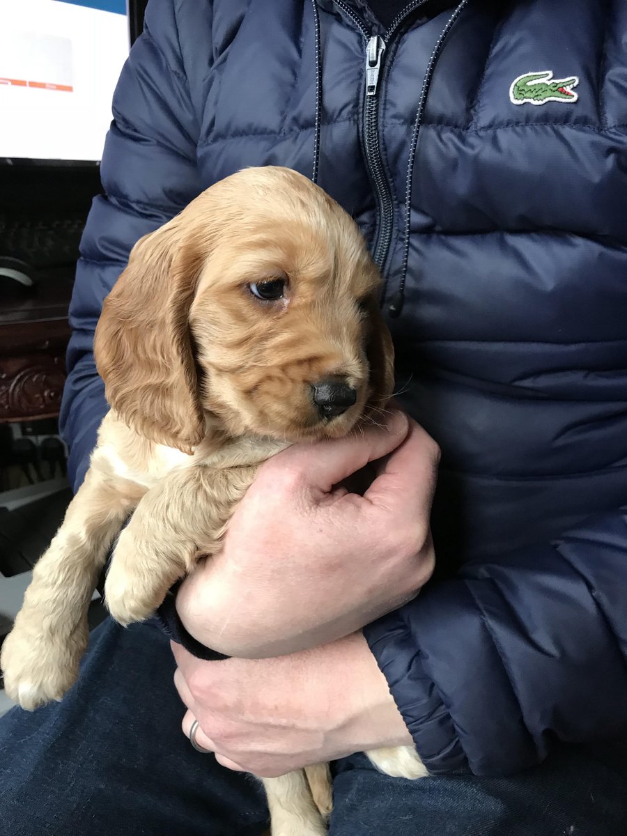 Fill Recruitment tweet media