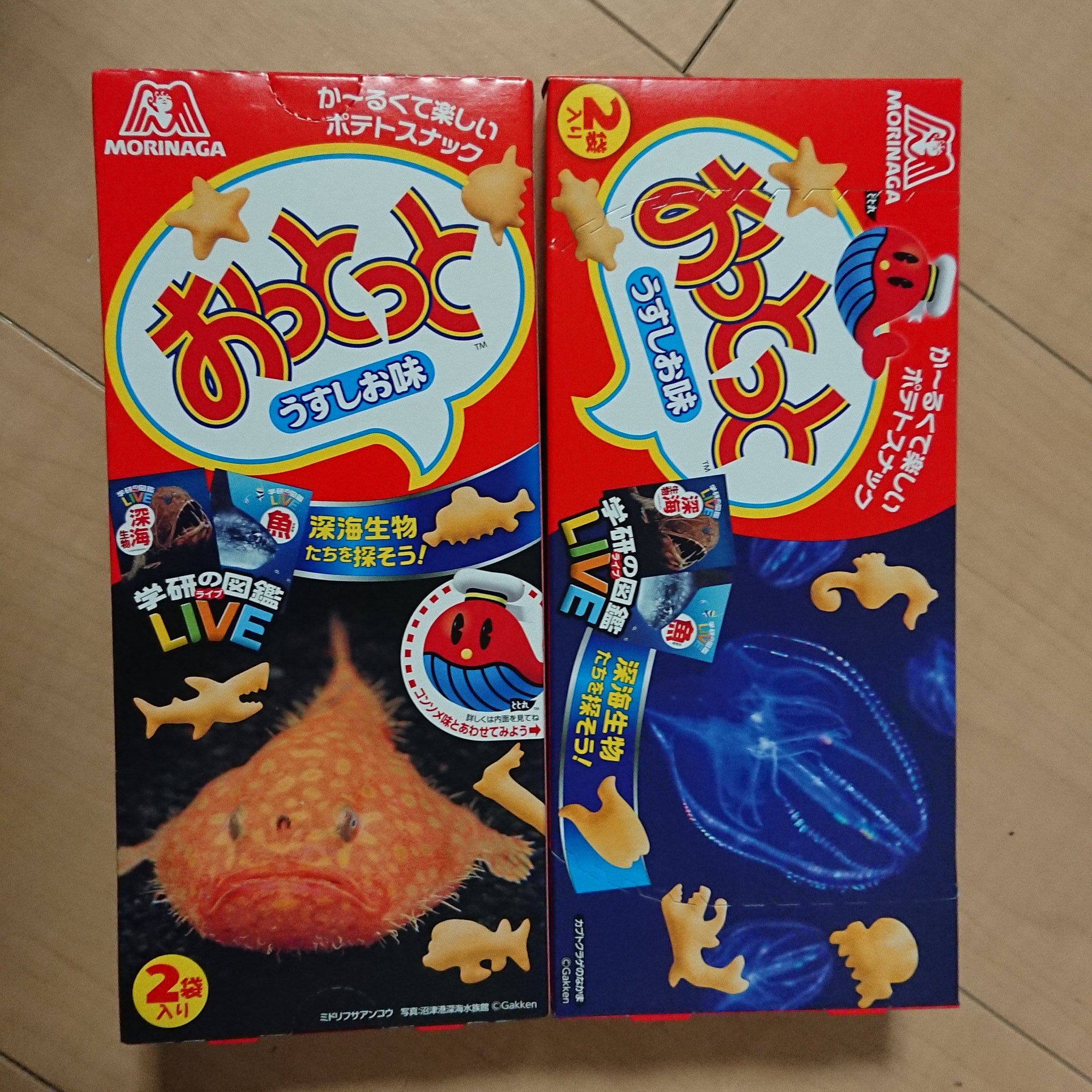 Nori おっとっと 深海生物第2段を購入 パッケージは2種類あってミドリフサアンコウとカブトクラゲの仲間 いつもの9種類に17種が追加 Nori おっとっと 深海生物第2段を購入 パッケージは2種類あってミドリフサアンコウとカブトクラゲの仲間 いつもの9種類に17種が追加