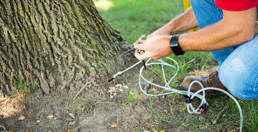 Deep root feeding for trees is done to provide the essential nutrients to the root zone so that they can be absorbed immediately. Call <a href="/FHForestry/">Forest Hill Forestry</a> at +437-776-4172 now.
foresthillforestry.com/deep-root-feed…