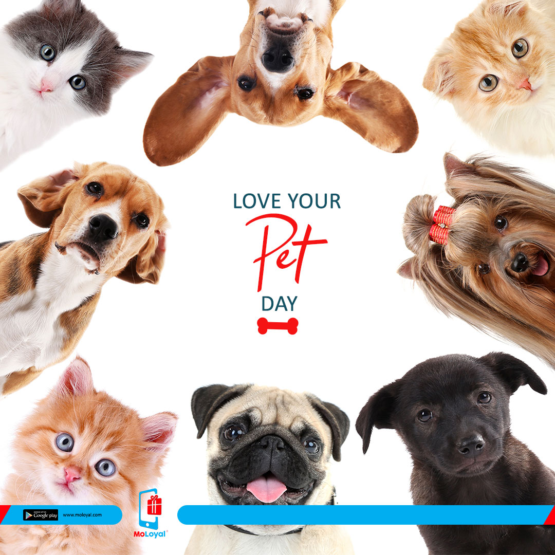 moloyalapp's tweet photo. Do you know😉? 
Today is International Love Your Pet Day.

Stay updated with #MoLoyalApp

#loyaltyprogram #airtimeapp #pets #dogs #cats #puppy #animals #vetenary #lagosians #sanwoolu #Thursday #buhari #ultimateloveng https://t.co/oidws9V0nn
